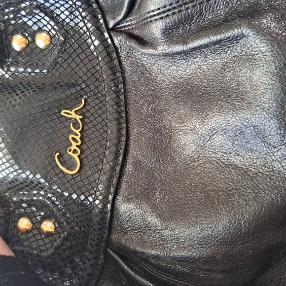 Coach - Picture 2 of 7